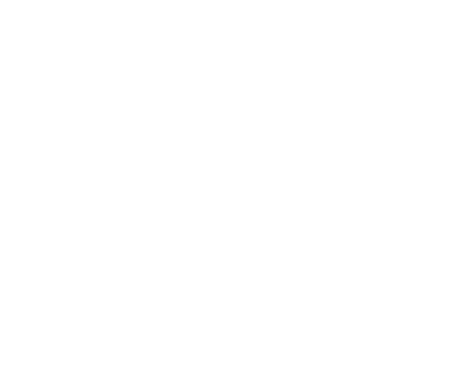 Cisco Partner Logo