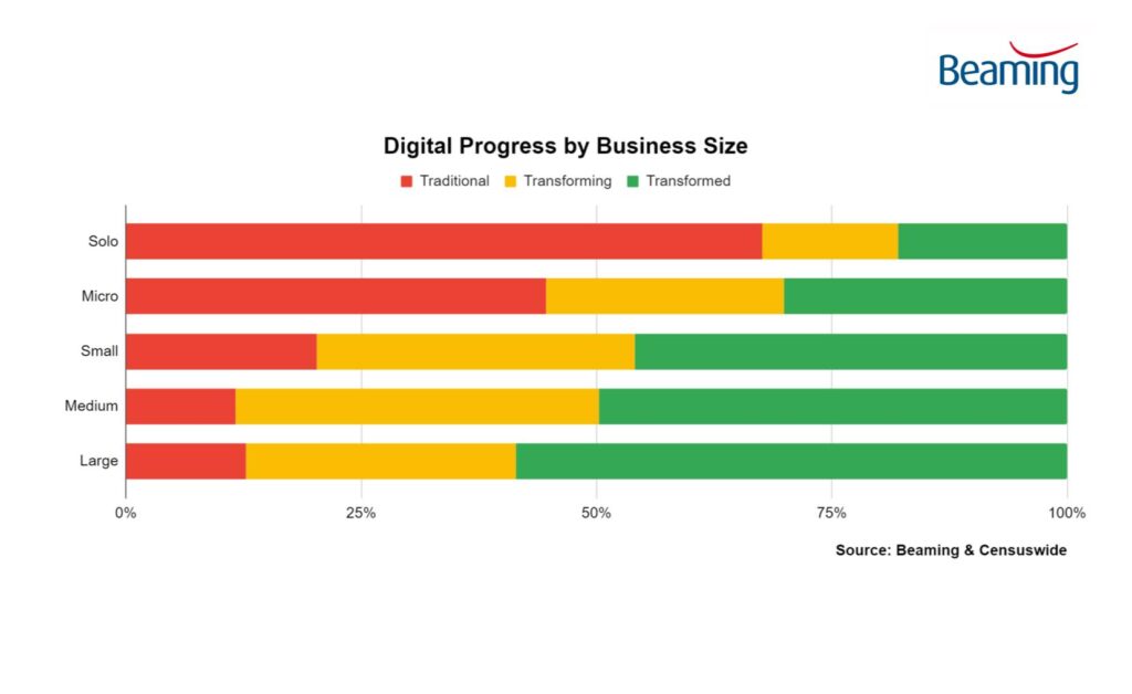 Chart showing Digital Progress by Business Size